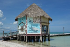 Karibisches Flair auf der Isla Holbox (sprich: Holbosch)