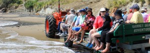 Cape-Kidnapper: Mit dem Trecker am Strand entlang