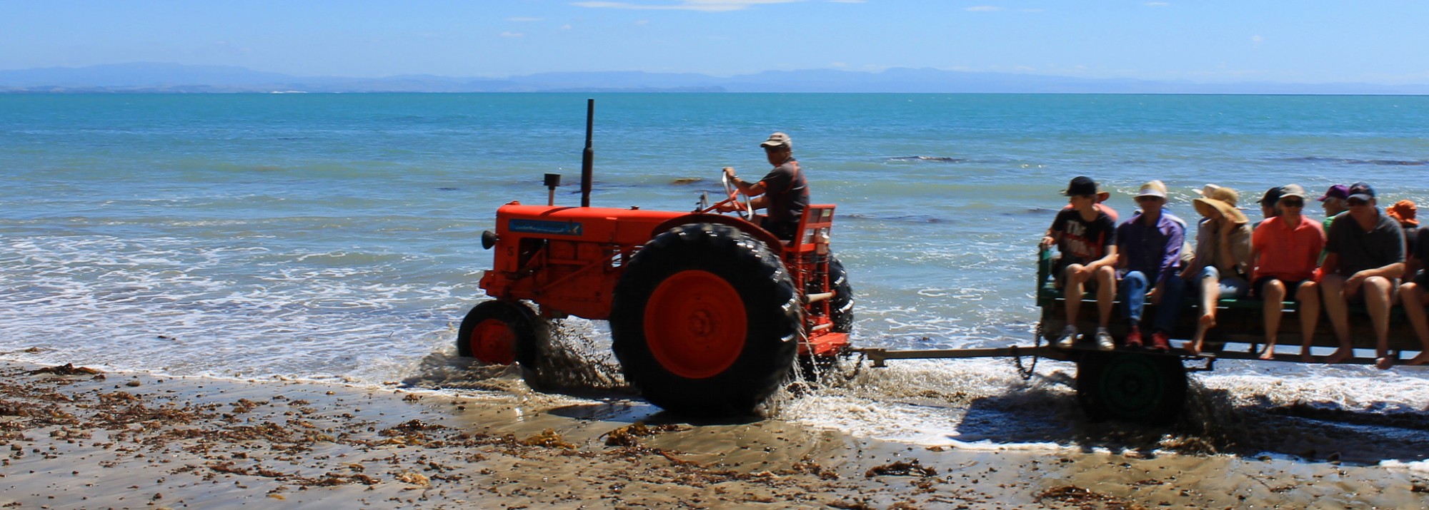 Cape Kidnapper: Treckertour