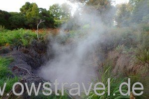 Rotorua: Der Thermal-Park mitten in der Stadt