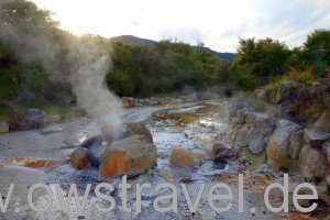 Rotorua: Der Thermal-Park mitten in der Stadt