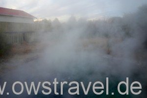 Rotorua: Der Thermal-Park mitten in der Stadt