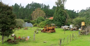 Coromandel: Crowded Backyard on "The 309 Road"