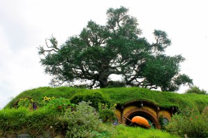 Hobbiton: Oaktree über Bagshot Row