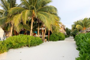 Mexico, Isla Holbox: Straße zum 5-Sterne Hotel Tortuga.