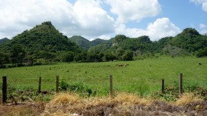 Flores, Palenque, San Cristobal: Grüne Landschaften im Westen Guatemalas