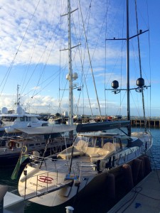Auckland: Da kommt Sehnsucht nach dem Segeln auf. Bei diesen tollen Booten natürlich kein Wunder