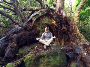 Coromandel, Cathedral Cove Trail: Eine Landschaft wie aus Herr der Ringe