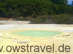 Neuseeland, Wai-O-Tapu: Kochende Wasser