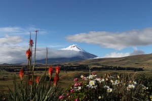 Blick auf den Vulkan Cotopaxi von der Eco-Lodge Secret Garden