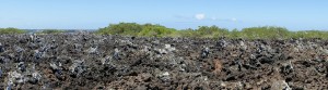 Galápagos, Santa Isabela, Tintoreros: Lava, Wind und Wetter formten eine bizarre Landschaft