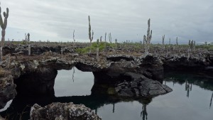 Galápagos, Santa Isabela, Los Tuneles: Bizarre Lavalandschaft