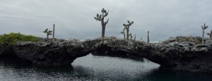 Galápagos, Santa Isabela, Los Tuneles: Die bizarre Tunnel-Landschaft ist ein Überbleibsel einer längst vergangenen Zeit