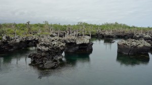 Galápagos, Santa Isabela, Los Tuneles: Bizarre Lavalandschaft mit Tunnel