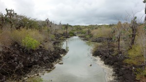 Santa Cruz, Las Grietas, Brackwasser-Lagune auf dem Weg