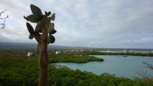 Santa Cruz, Las Grietas, Blick auf Puerto Ayora