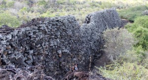 Galápagos, Santa Isabela: Die berüchtigte El Muro de las Lágrimas, the wall of tear oder in Deutsch die Mauer der Tränen