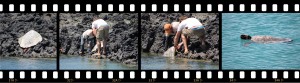 Galápagos, Santa Isabela, Los Tintoreros: Wir retten eine verirrte Wasserschildkröte, Jo aus München und unser Guide packen an
