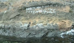Galápagos, Tagus Cove: Ein flugunfähiger Kormoran direkt vor unserem Kajak. Und wieder eine Inschrift.