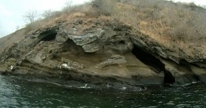 Galápagos, Tagus Cove: Blick vom Kajak in einen teilgefüllten Lavatunnel. Ein Bild wie aus einem Geologie-Lehrbuch