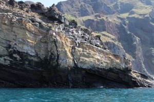 Galápagos, La Pinta, Santa Isabela, Punta Vincente Roca: Interessante Innenansicht der Schichtung von Lava und Asche und 2 kleine Lavakamine