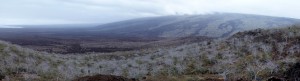 Galápagos, Tagus Cove: Blick auf den Vulkan Darwin und die ausgedehnten Lavafelder des letzten Ausbruchs