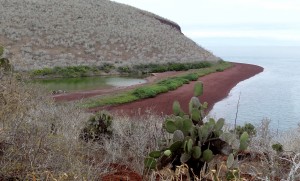 Galápagos, Rábida: Die berühmte rote Bucht mit der nachgelagerten Lagune