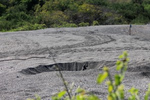 Galápagos, Urbina Bay: Spuren der letzten Nacht als Wasserschildkröten zum Eierlegen an Land kamen. Im Vordergrund ein Scheinnest um Nesträuber vom eigentlichen Nest abzulenken.