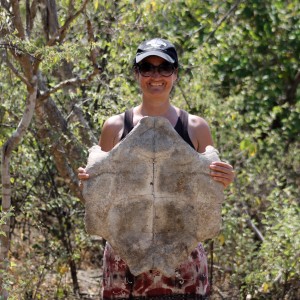 Galápagos, Urbina Bay: Wow, wir schreiben Geschichte! Eben ein ganz neues Exemplar einer Galápagos Riesenschildkröte entdeckt (Tortoise Ottiliensis Baseballkäppis) :-)