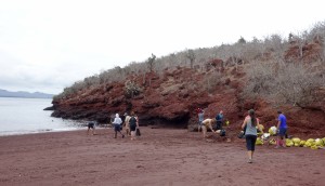 Galápagos, Rábida: Fertigmachen zum Schnorcheln