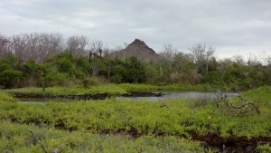 Galápagos, Santa Cruz, Cerra Dragone: Die Brackwasser-Lagune mit dem Cerro Dragone im Hintergrund