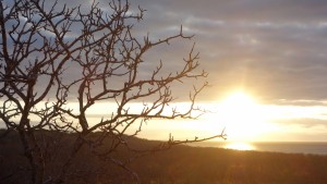 Galápagos, Santa Cruz, Cerra Dragone: Eindrucksvoller Sonnenuntergang auf dem Cerra Dragone