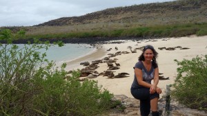 Galápagos, Santa Fe: Seelöwen wohin das Auge reicht (nein, das vorne im Bild ist Otti)