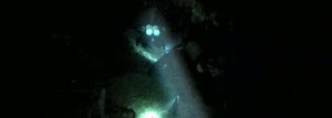 Mexiko, Tulum, Cenoten Tauchen: Nur mit der Taschenlampe bewaffnet durch die Kavernen der Gran Cenote