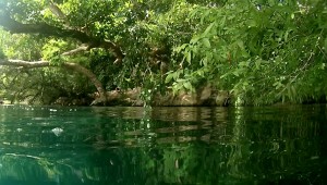 Mexiko, Laguna Bacalar: Schnorcheln in der Cenote, Blick über Wasser