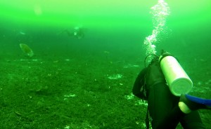 Mexiko, Tulum, Cenoten Tauchen: Unwirkliche Ansichten in der Cenote Car Wash