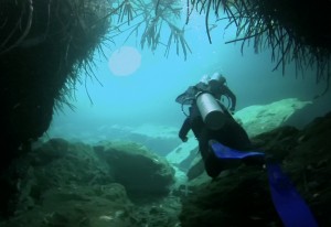 Mexiko, Tulum, Cenoten Tauchen, Casa Cenote: Eine sehr abwechslungsreiche Unterwasserlandschaft