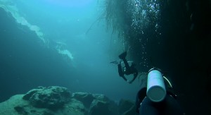 Mexiko, Tulum, Cenoten Tauchen, Casa Cenote: Unter den Mangroven