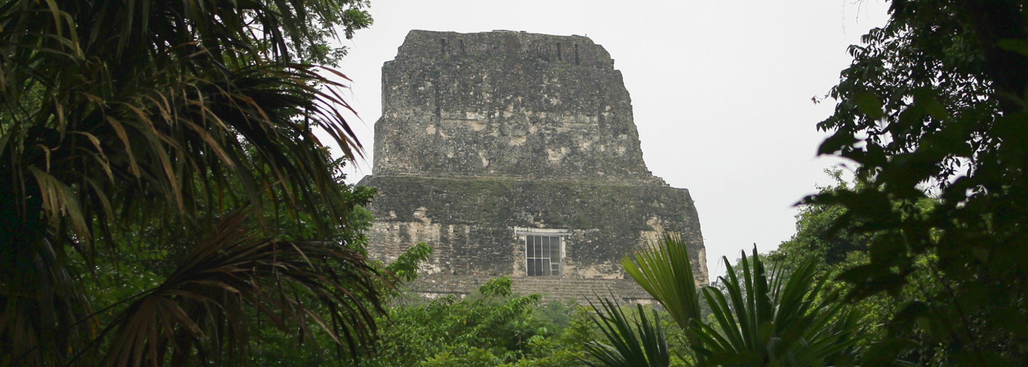 Guatemala: Tempel 4 der Maya-Stadt Tikal im Dschungel Guatemalas