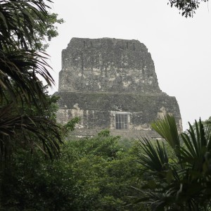 Guatemala, Tikal: Tempel 4 war unser Aussichtspunkt im Morgengrauen