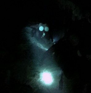 Mexiko, Tulum, Cenoten Tauchen: Immer schön einer nach dem anderen, Cenote Dos Ojos