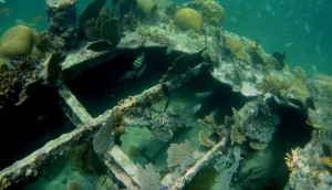 Belize, Caye Caulker: Interessante Einblicke in das Wrack