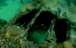 Belize, Caye Caulker: Interessante Einblicke in das Wrack