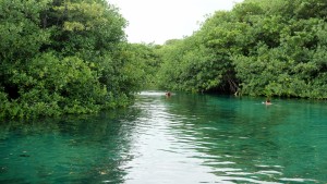 Mexiko, Tulum, Cenoten Tauchen, Casa Cenote