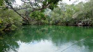 Mexiko, Tulum, Cenoten Tauchen: Die Cenote Car Wash wartet auf uns