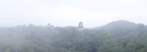 Guatemala, Tikal: Der-Regenwald und die Tempel im Morgengrauen