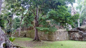 Guatemala, Tikal: Hier wissen wir leider nicht mehr genau wo das war und was es darstellt.