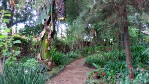 San Cristobal, Na Bolom Museum: Der Garten des Jaguars