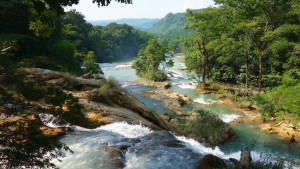 Palenque, Agua-Azul: Die gesamte Anlage ist zu groß um sie auf das Bild zu bringen