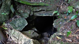 Palenque, Dschungeltour: Gut getarnt verbergen sich überall Zugänge zu Maya-Ruinen